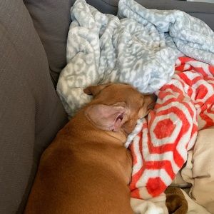 Meet your Posher, Colin